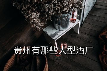 貴州有那些大型酒廠