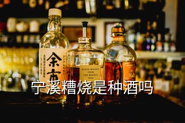 寧溪糟燒是種酒嗎