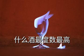 什么酒最度數(shù)最高