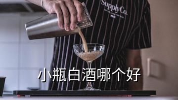 小瓶白酒哪個好