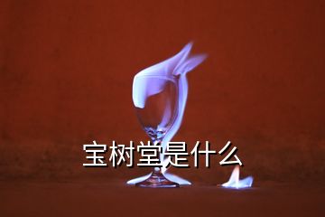 寶樹堂是什么