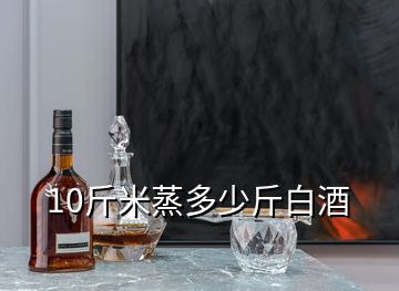 10斤米蒸多少斤白酒