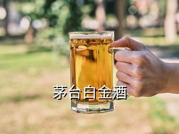 茅臺(tái)白金酒