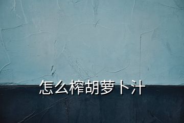 怎么榨胡蘿卜汁