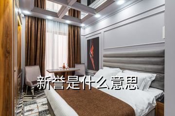 新譽(yù)是什么意思