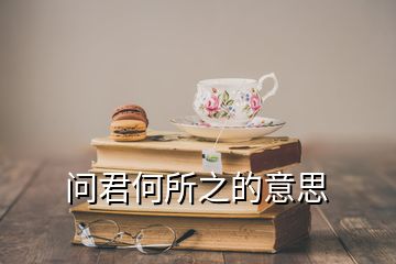 問君何所之的意思