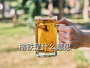 擼鐵是什么意思