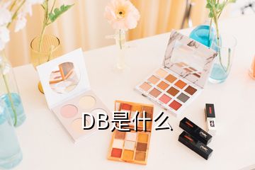 DB是什么