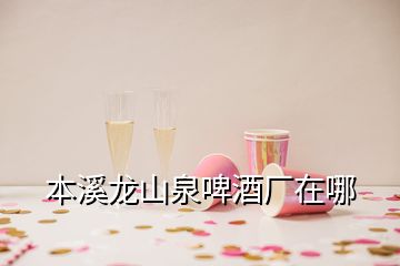 本溪龍山泉啤酒廠在哪