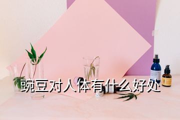 豌豆對人體有什么好處