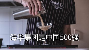 海華集團(tuán)是中國500強