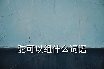 駝可以組什么詞語