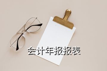 會(huì)計(jì)年報(bào)報(bào)表