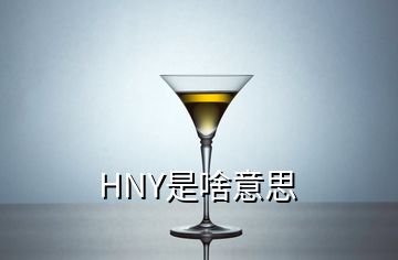 HNY是啥意思