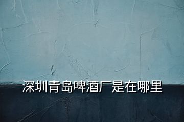 深圳青島啤酒廠是在哪里