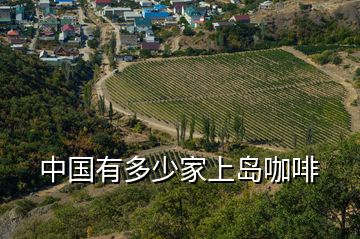 中國(guó)有多少家上島咖啡