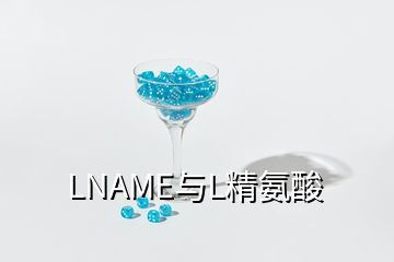 LNAME與L精氨酸