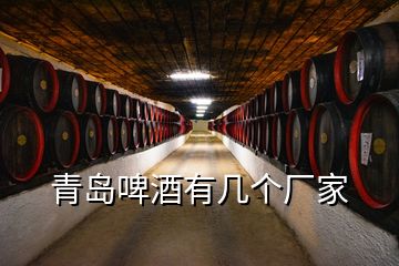 青島啤酒有幾個廠家