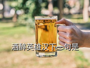 酒醉英雄漢下一句是