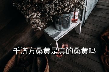 千濟方桑黃是真的桑黃嗎