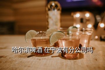 哈爾濱啤酒 在寧波有分公司嗎