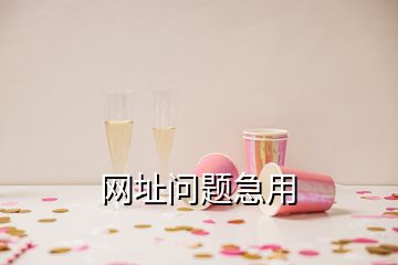 網(wǎng)址問題急用