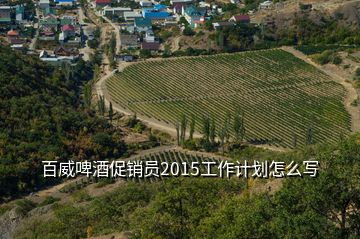 百威啤酒促銷員2015工作計(jì)劃怎么寫