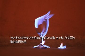 澳大利亞南澳麥克拉倫葡萄酒莊2009釀 全干紅 力度國際釀酒集團(tuán)代理