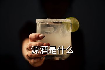 源酒是什么