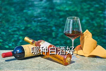 哪種白酒好