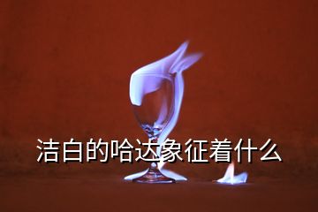 潔白的哈達(dá)象征著什么