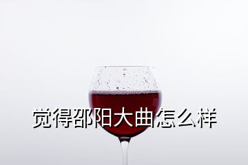 覺得邵陽大曲怎么樣