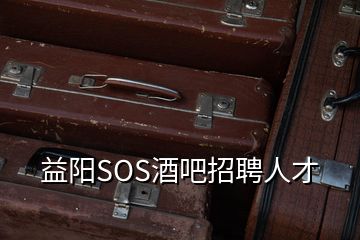 益陽(yáng)SOS酒吧招聘人才