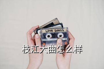 枝江大曲怎么樣