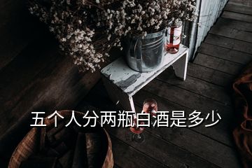 五個(gè)人分兩瓶白酒是多少