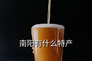 南陽(yáng)有什么特產(chǎn)