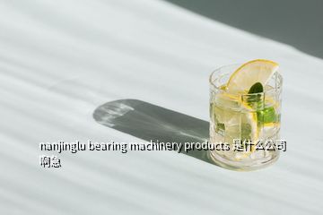 nanjinglu bearing machinery products 是什么公司啊急