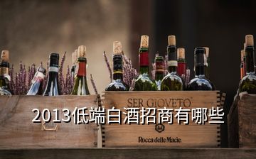 2013低端白酒招商有哪些