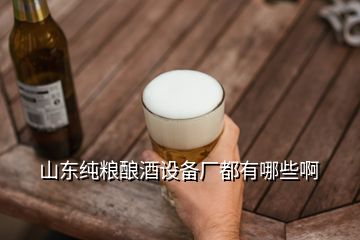 山東純糧釀酒設(shè)備廠都有哪些啊