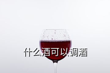 什么酒可以調(diào)酒