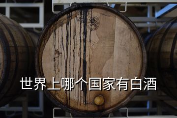 世界上哪個(gè)國(guó)家有白酒