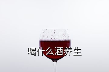 喝什么酒養(yǎng)生