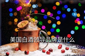 美國(guó)白酒領(lǐng)導(dǎo)品牌是什么