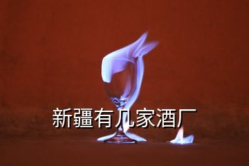 新疆有幾家酒廠