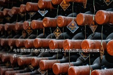 今年我想做白酒代理請問加盟什么白酒品牌比較好麻煩推薦一