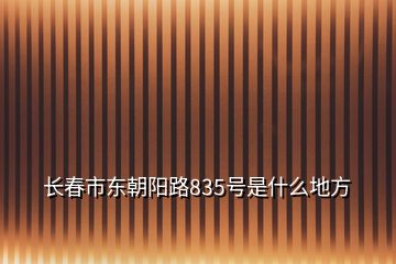 長春市東朝陽路835號是什么地方