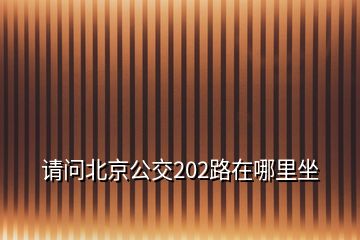 請(qǐng)問(wèn)北京公交202路在哪里坐