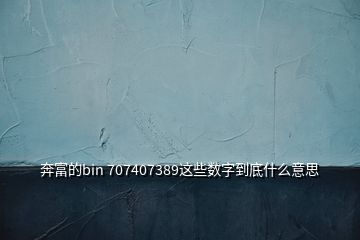 奔富的bin 707407389這些數(shù)字到底什么意思