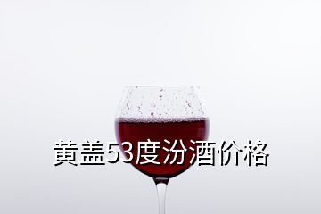 黃蓋53度汾酒價格