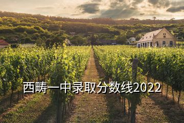 西疇一中錄取分?jǐn)?shù)線2022